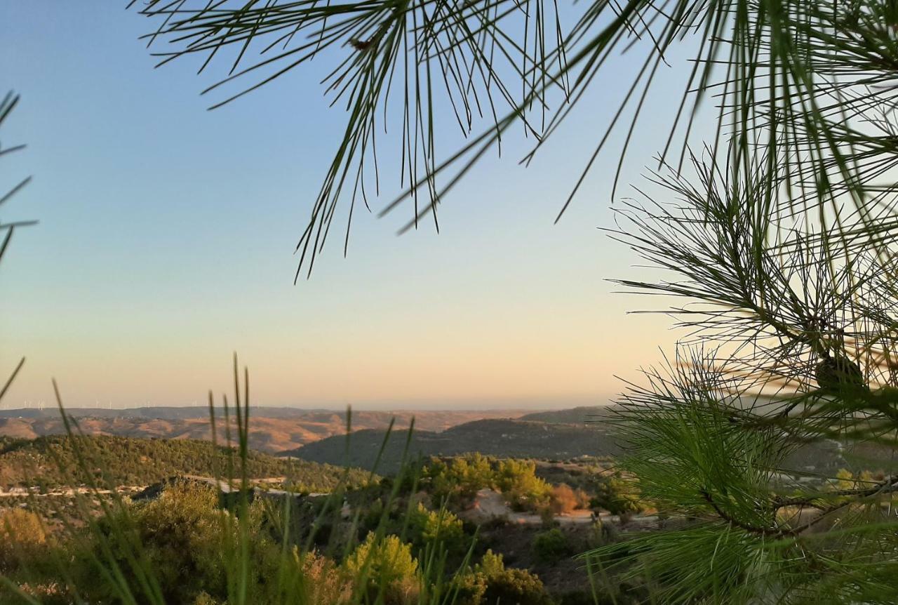 Savvas Brian Mountain House In Paphos Villa Pendalia Esterno foto